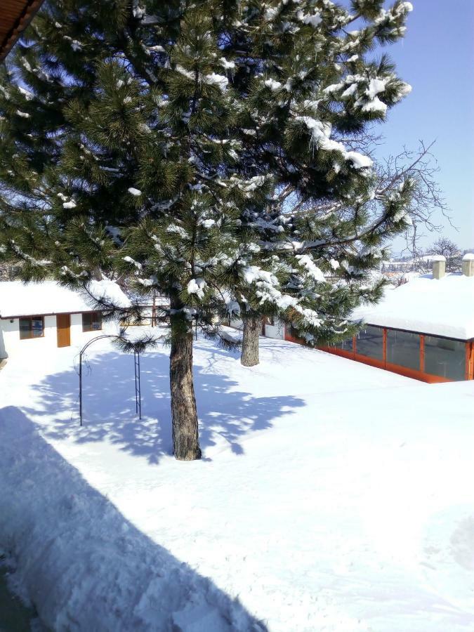 Bolyarski Stan Guest House Veliki Preslav Exterior foto